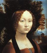 Portrait of Ginerva de'Benci-u Leonardo  Da Vinci